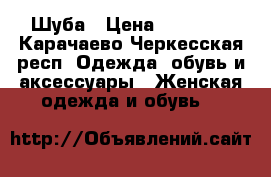 Шуба › Цена ­ 80 000 - Карачаево-Черкесская респ. Одежда, обувь и аксессуары » Женская одежда и обувь   